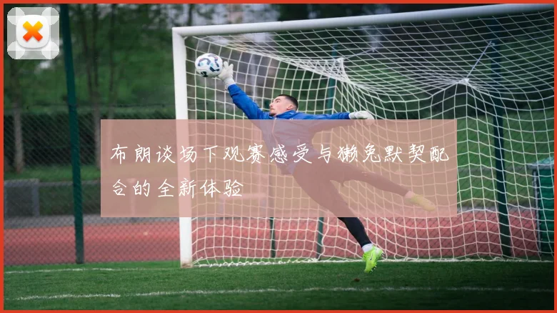 布朗谈场下观赛感受与獭兔默契配合的全新体验