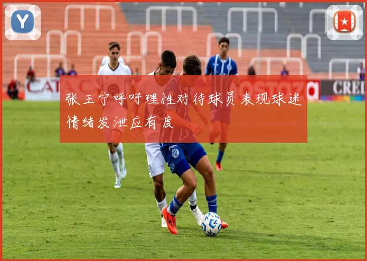 张玉宁呼吁理性对待球员表现球迷情绪发泄应有度