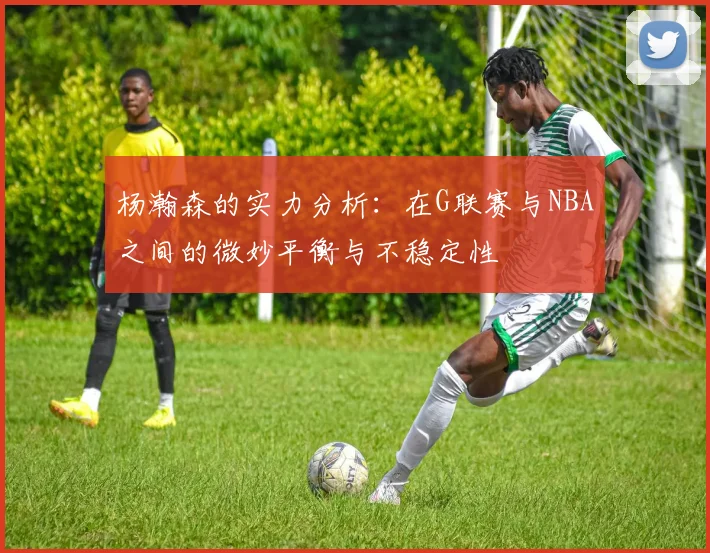 杨瀚森的实力分析：在G联赛与NBA之间的微妙平衡与不稳定性