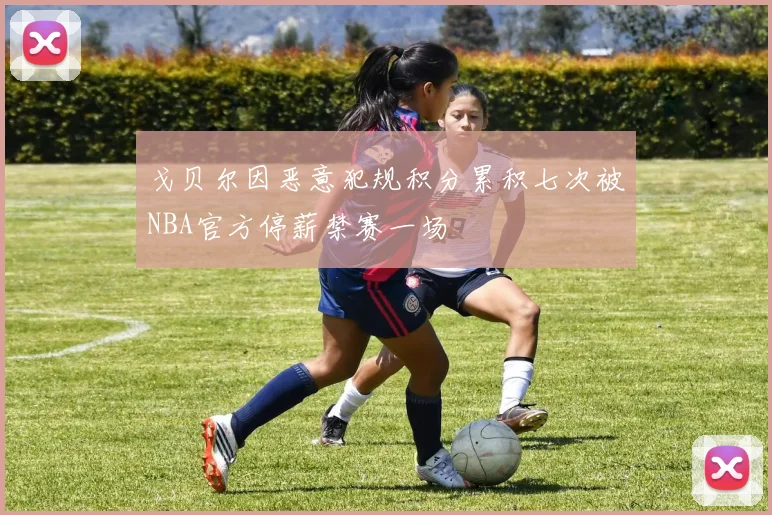戈贝尔因恶意犯规积分累积七次被NBA官方停薪禁赛一场