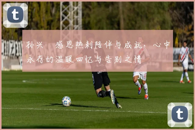 孙兴慜感恩热刺陪伴与成就，心中永存的温暖回忆与告别之情