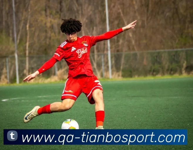 天博足球APP 封面图